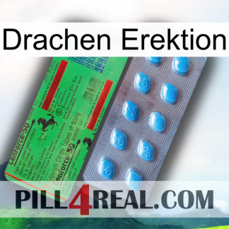 Dragon Erection new03